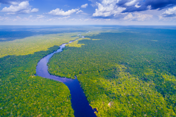 De Manaus ao Rio Negro: 3 dias de Aventuras na Amazônia Brasileira