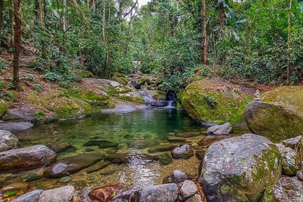 Roteiro das Cachoeiras: A Beleza Natural de Penedo-RJ