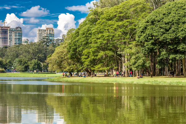 São Paulo Além da Agitação: Descobrindo a Cena Cultural da Cidade